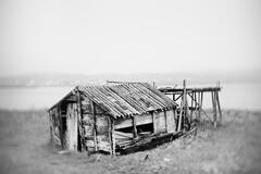 Fish Shack
