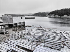 Quiet Harbor