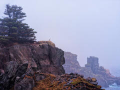 Lookout