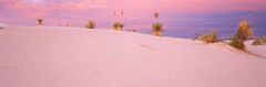 Sunset White Sands National Monument
