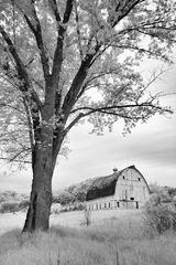 To Know This Place