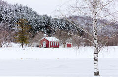 Village Schoolhouse