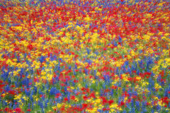 Carpet Of Wildflowers