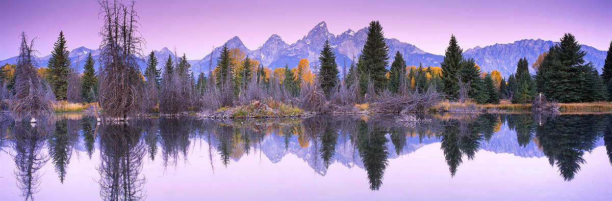 mountains, reflection, tetons