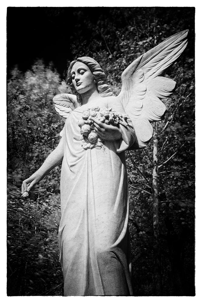 Angel