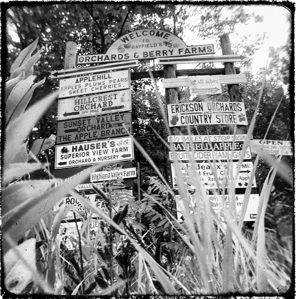 Sign, Orchard Sign