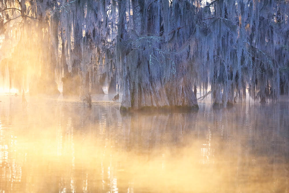 Louisiana