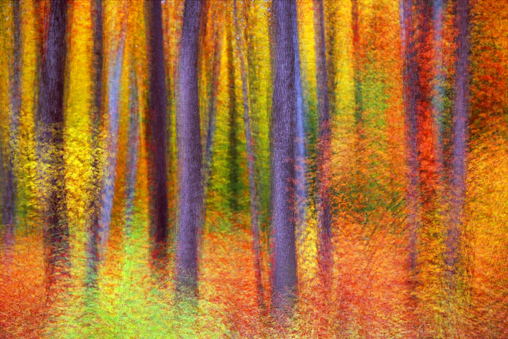 Color, Fall, Wisconsin