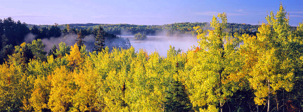 BWCA, Minnesota, fall color