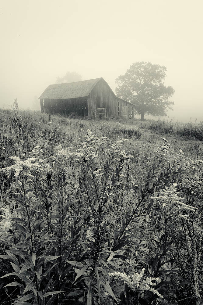 black and white, barn