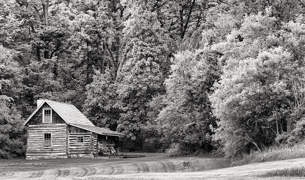 cabin, deer
