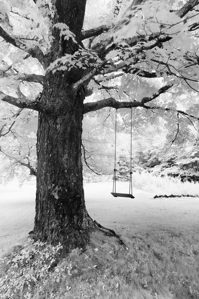 IR, swing,black and white