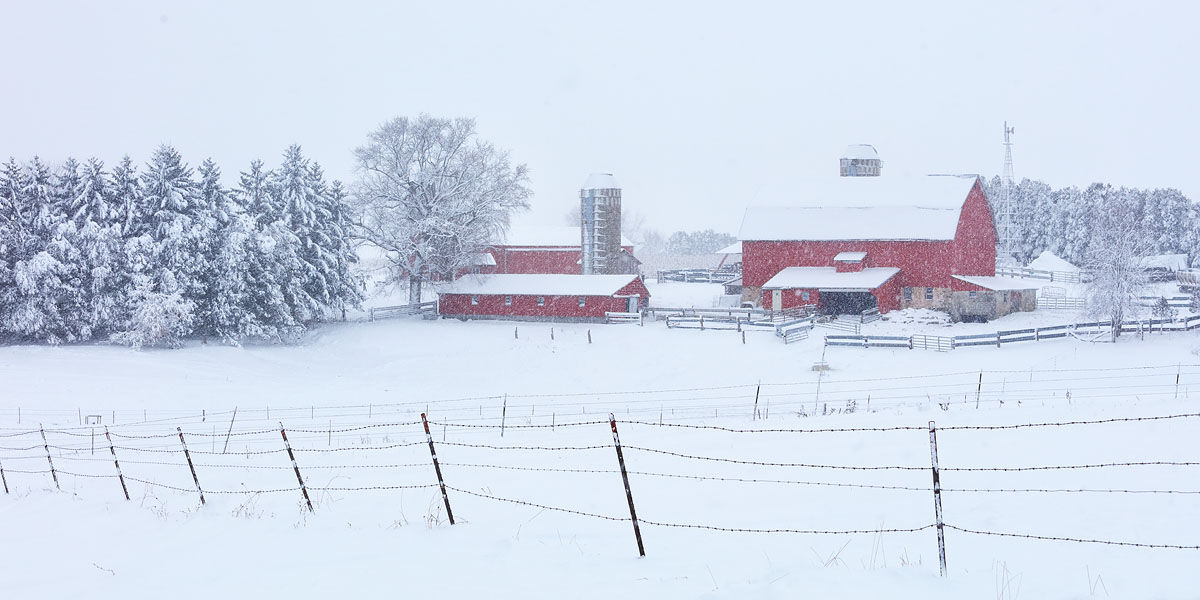 Barn, Winter, Farm, Red Barn, Snow