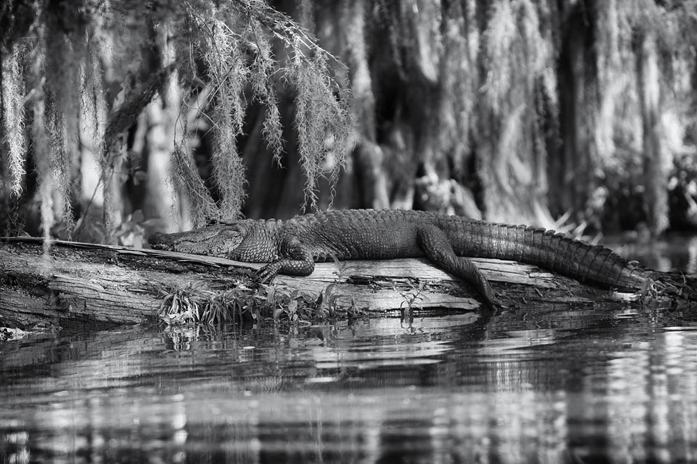 Louisiana
