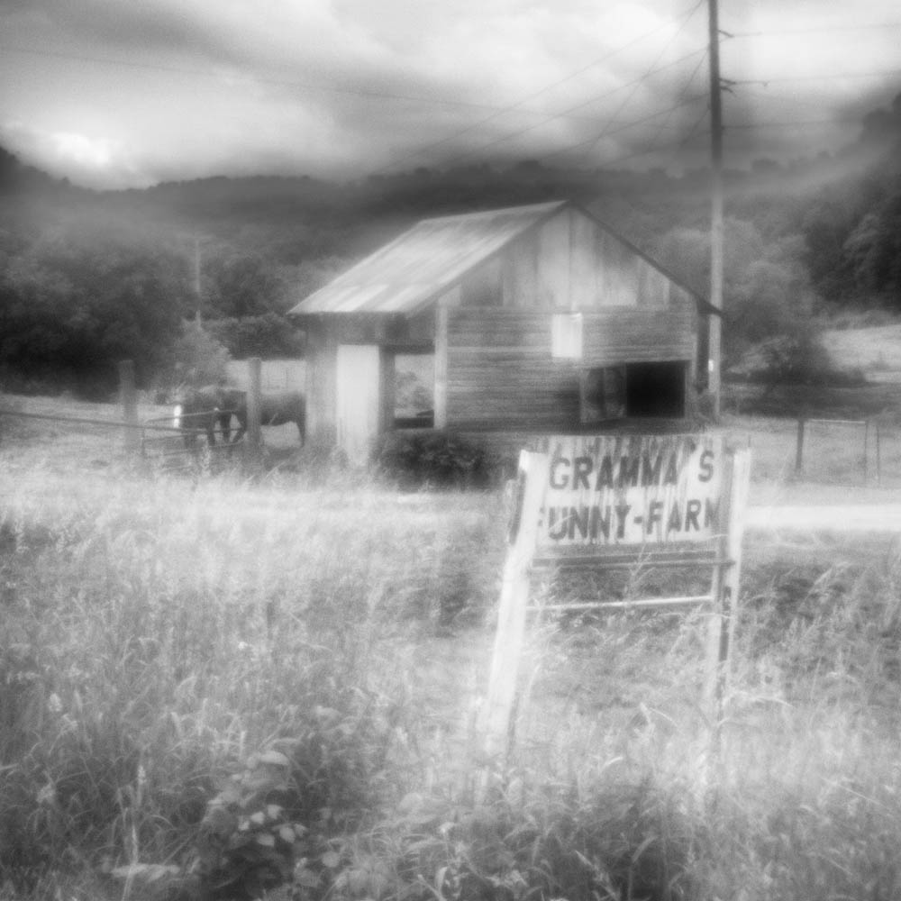 Farm, Horse, Funny Farm, Gran, Granma