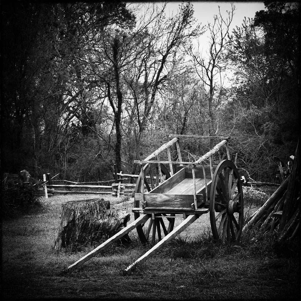 Horse Cart