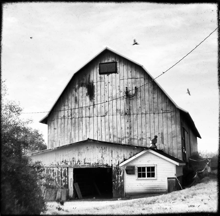 barn,black and white