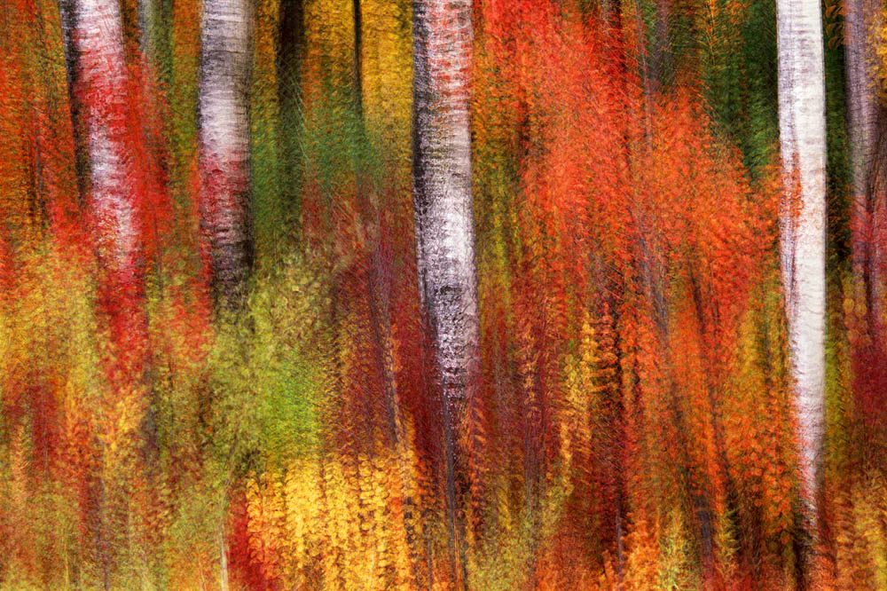 Wisconsin, Fall, abstract