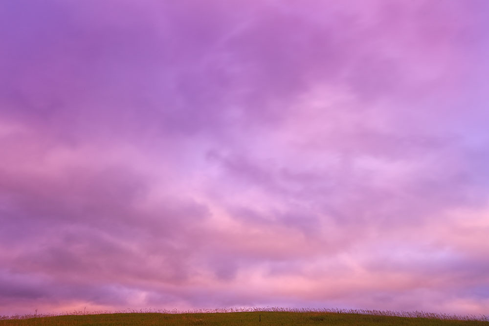 grassland, sunrise