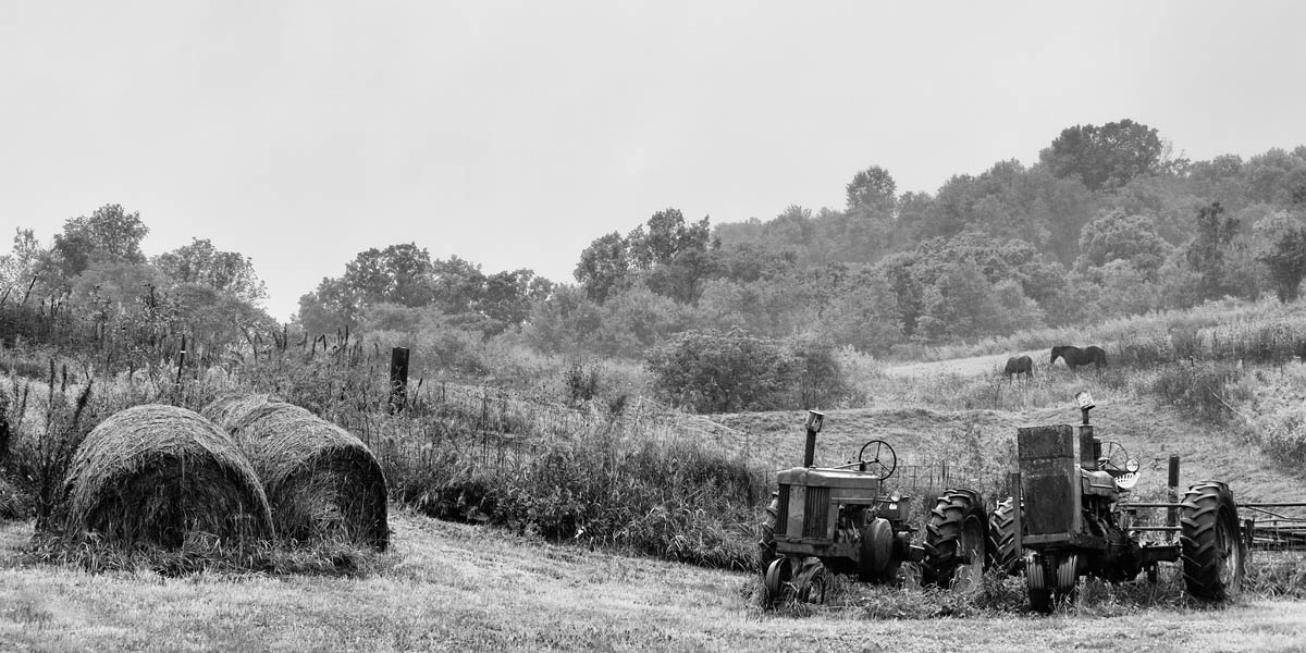 Quiet Morning horse, farm, tractor