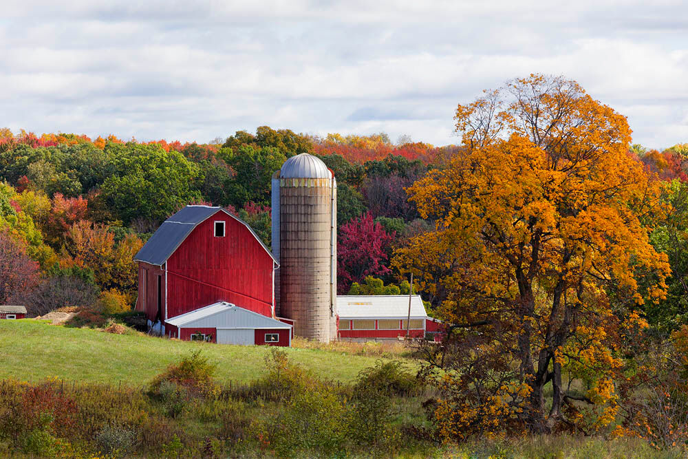 red barn, barn, fall