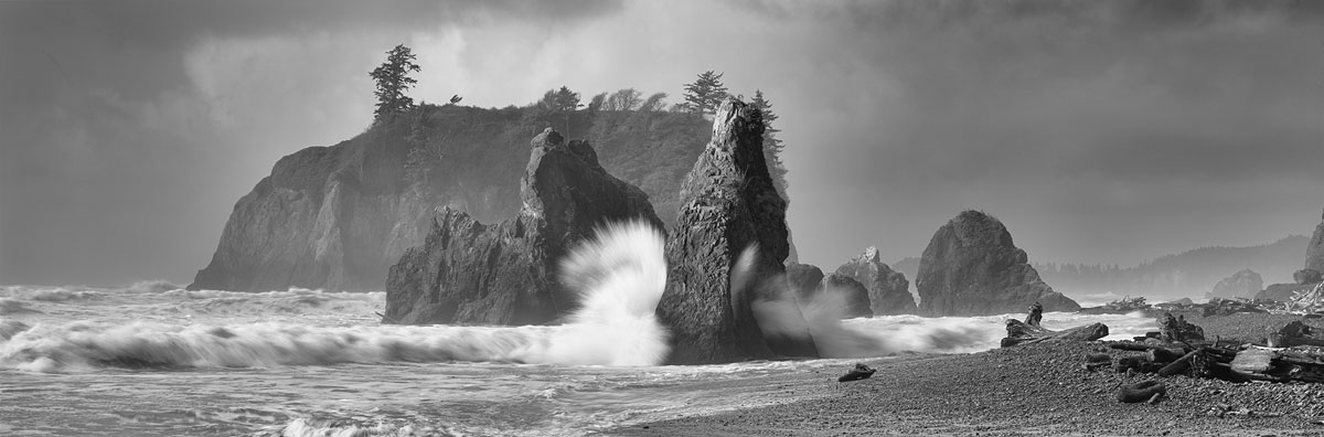 Washington Coast