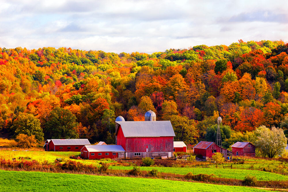 red barn, barn, fall