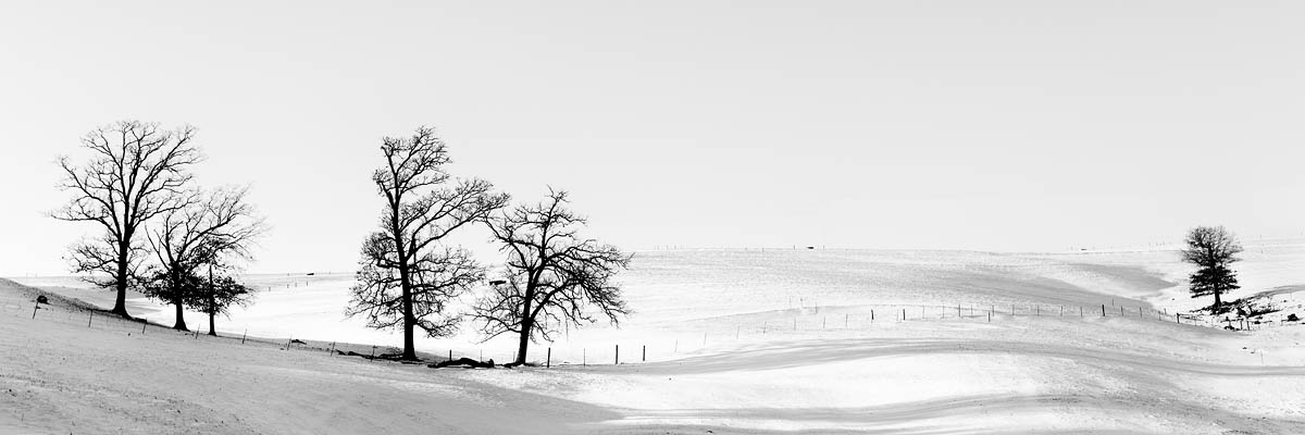 Winter, Tree abstract, Snow, Trees