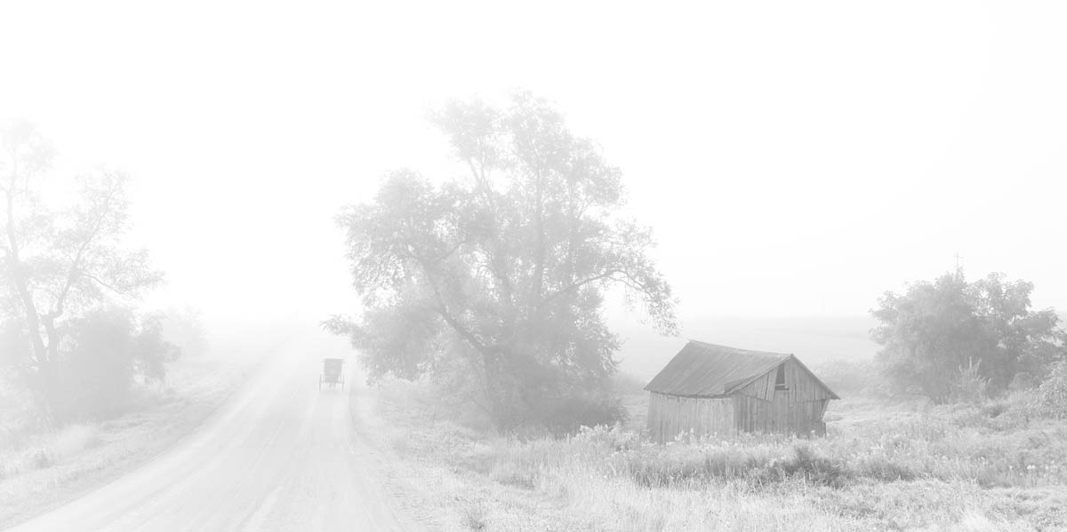 barn, fog, amish, amish buggy