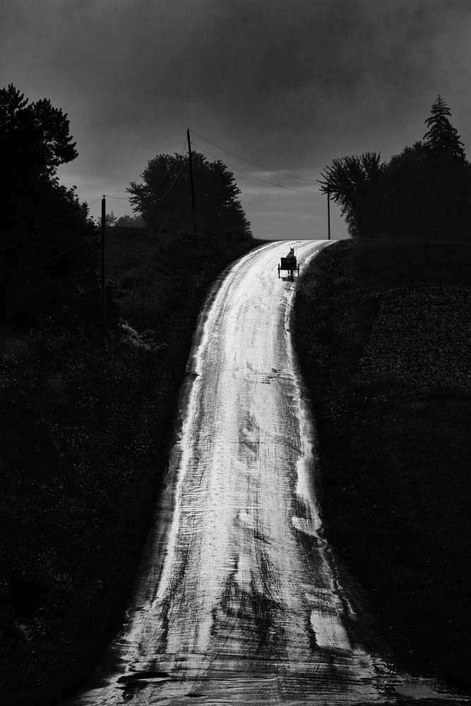Amish, Amish  Buggy, Country Road