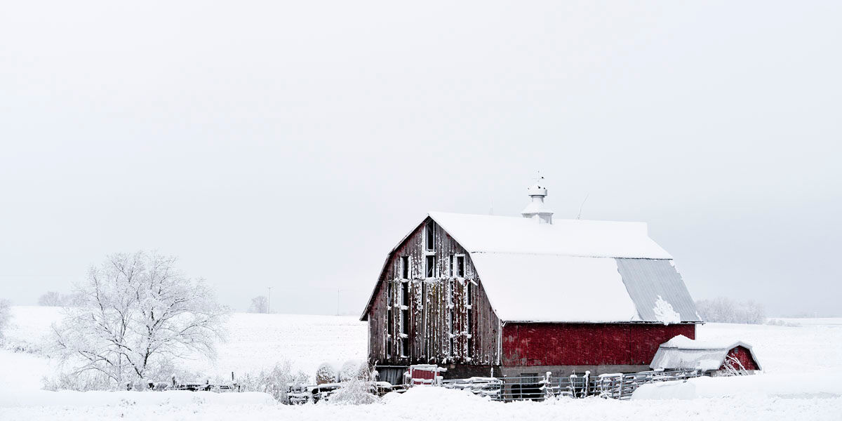 Barn, Winter, Snow Barn, Red Barn Winter