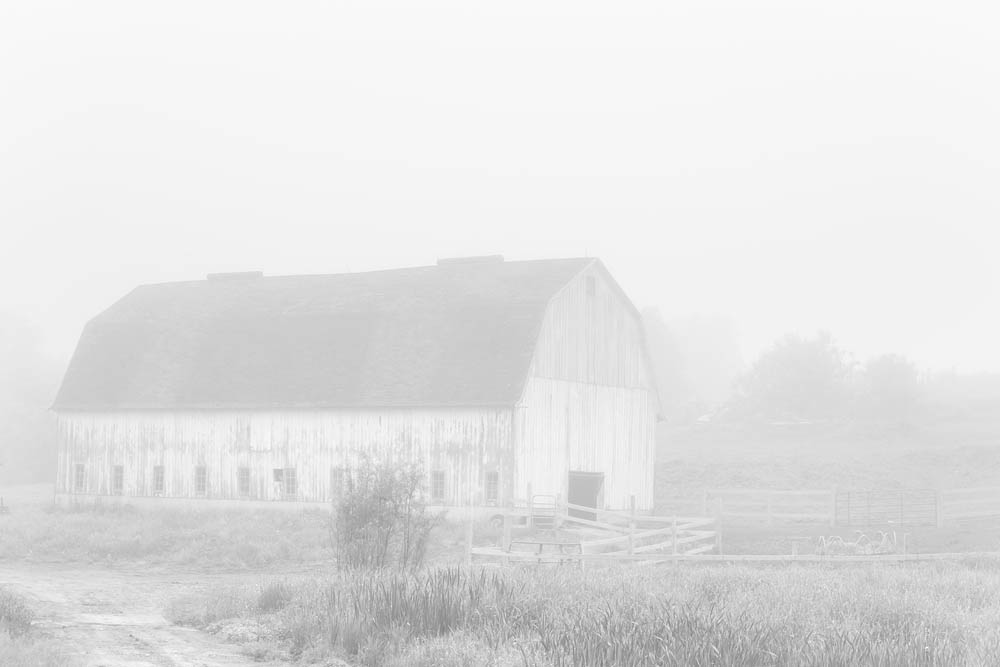 Barn, Fog, barn and fog