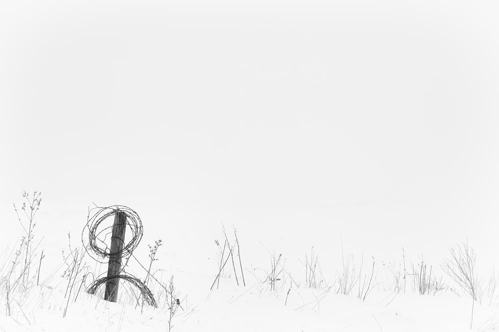 Silent Season Winter, post and wire, snow and post