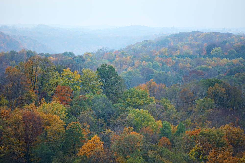 Hill, Fall Color, Wisconsin
