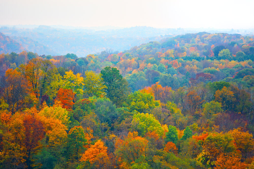 Hill, Fall Color, Wisconsin